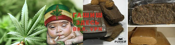 гидра Снежногорск